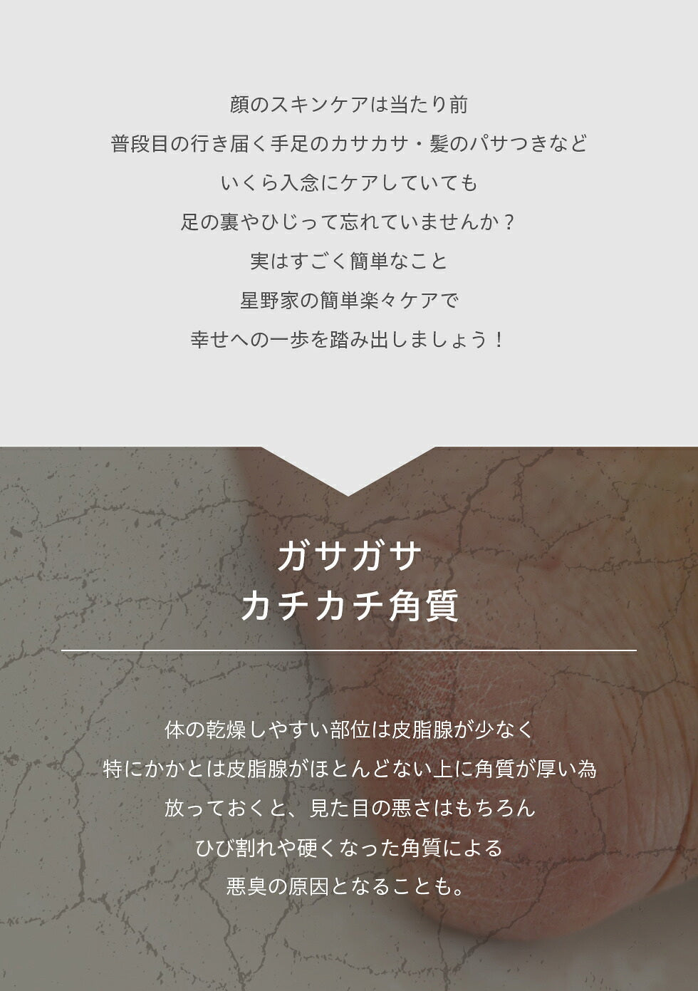 【送料無料】星野家のかかと濃厚保湿クリーム 30g